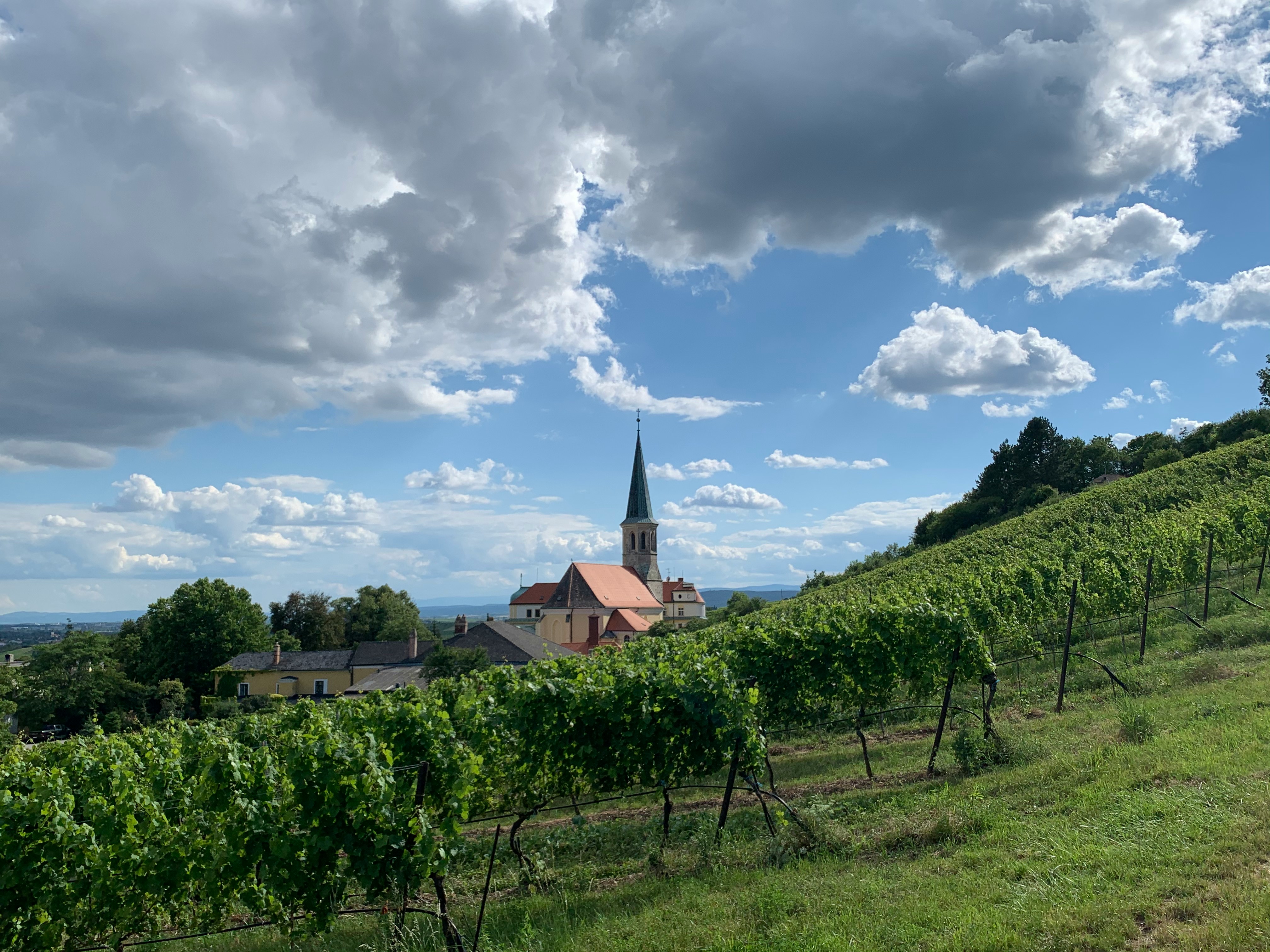 Alsace Wine Route