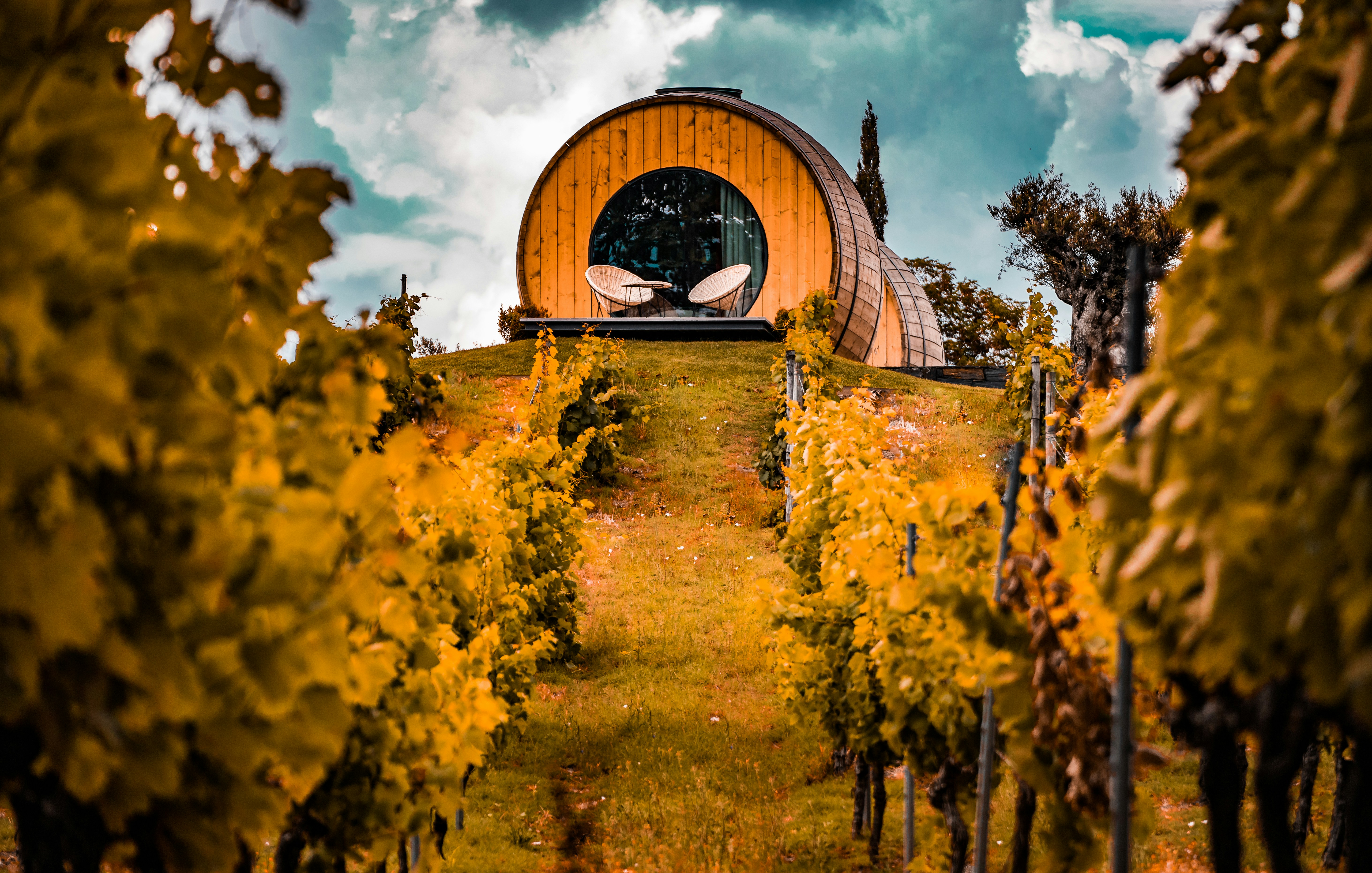 Douro Valley