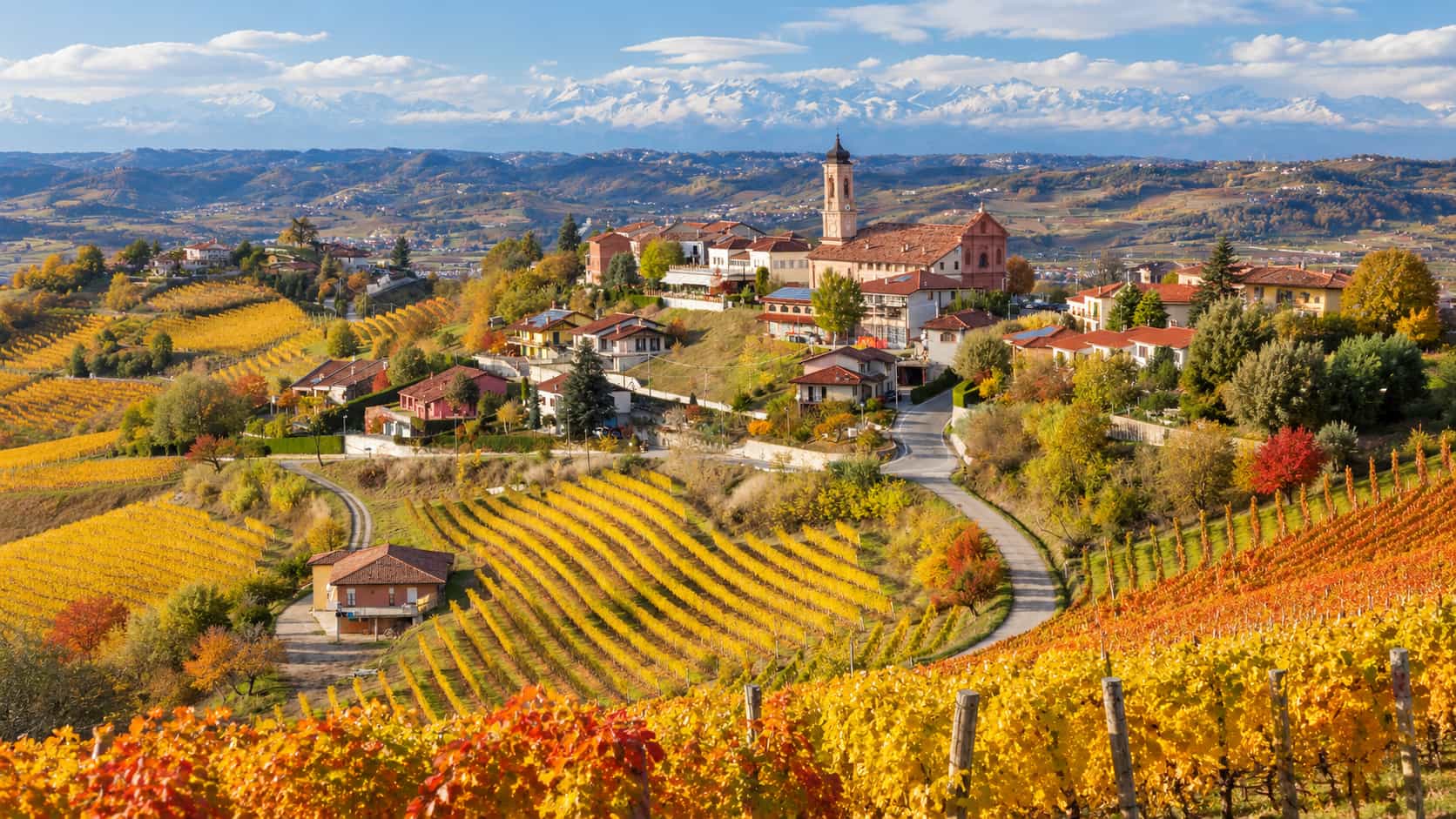 Autumn mist over the Nebbiolo vineyards of the Langhe at dawn — Alba white truffle season by Throne Voyages.